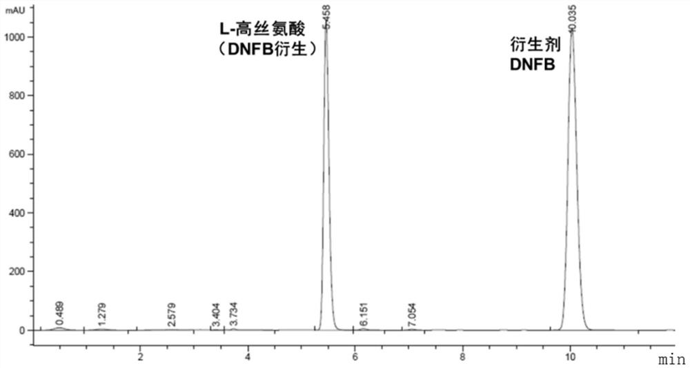 Recombinant bacterium capable of producing L-homoserine at high yield as well as preparation method and application of recombinant bacterium