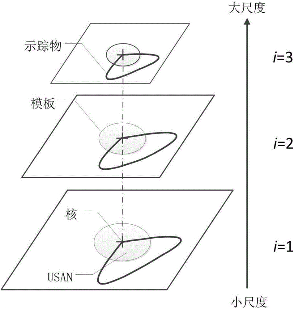 Fluid motion vector estimation method based on feature optical flow