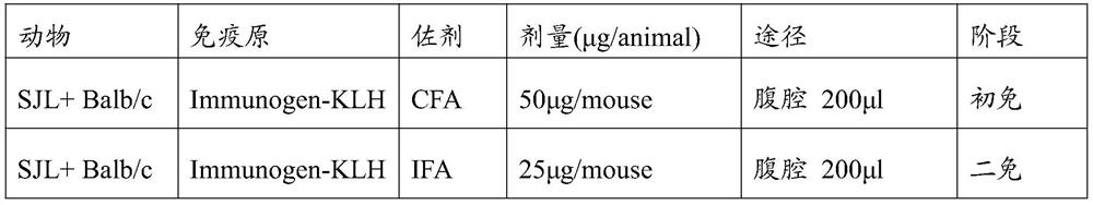 Antibody cBIN1 and application thereof