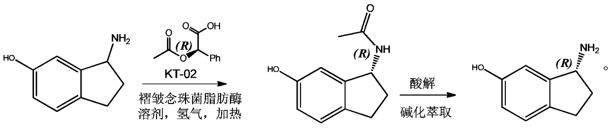 Preparation of r-6-Hydroxy-1-aminoindan by Dynamic Kinetic Resolution