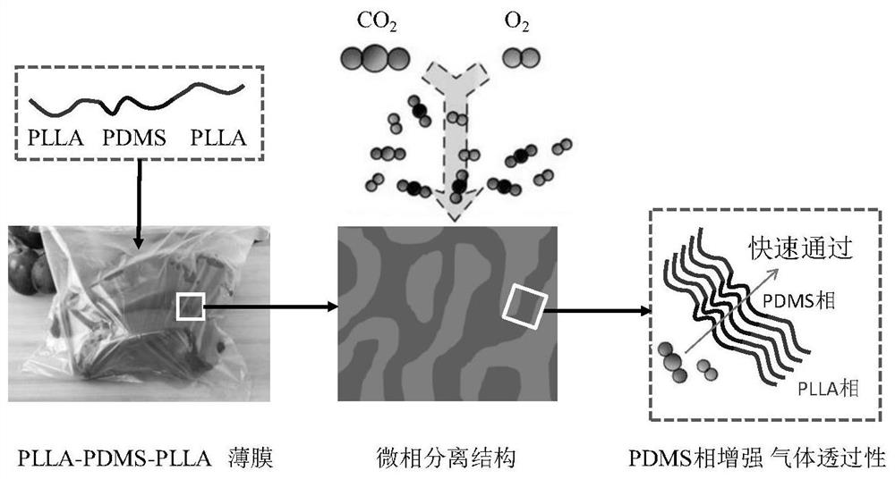A high air permeability pld  <sub>x</sub> l Copolymer film and preparation method thereof and application in preservation of fruits and vegetables