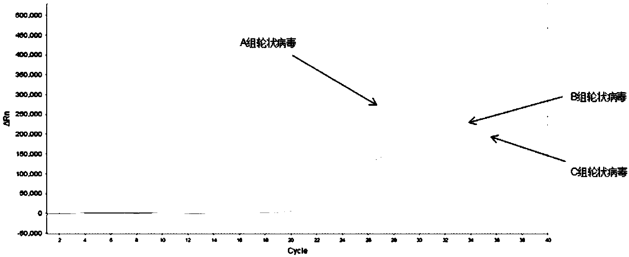 Nucleic acid composition and kit for detecting diarrhea viruses as well as use method of kit