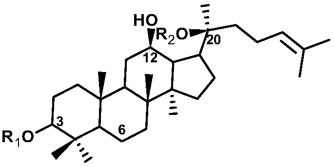 Biotransformation method of rare ginsenoside Rg3