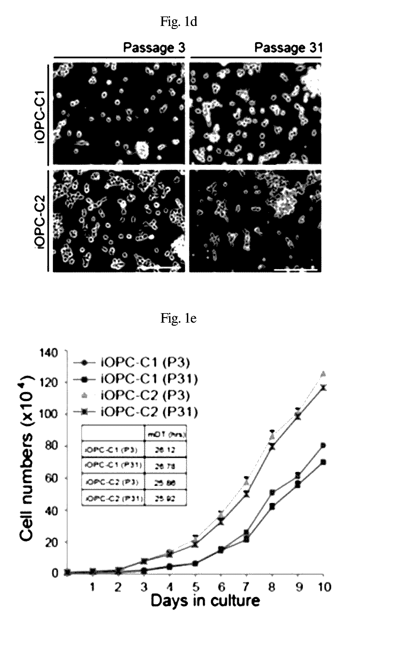 Composition for inducing direct transdifferentiation into oligodendrocyte progenitor cells from somatic cells and use thereof