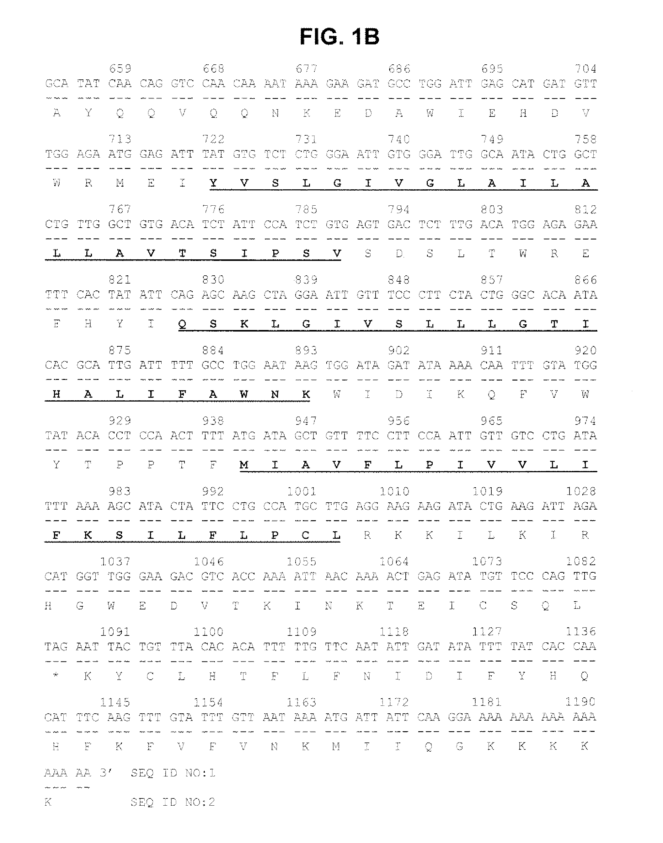 Serpentine transmembrane antigens expressed in human cancers and uses thereof