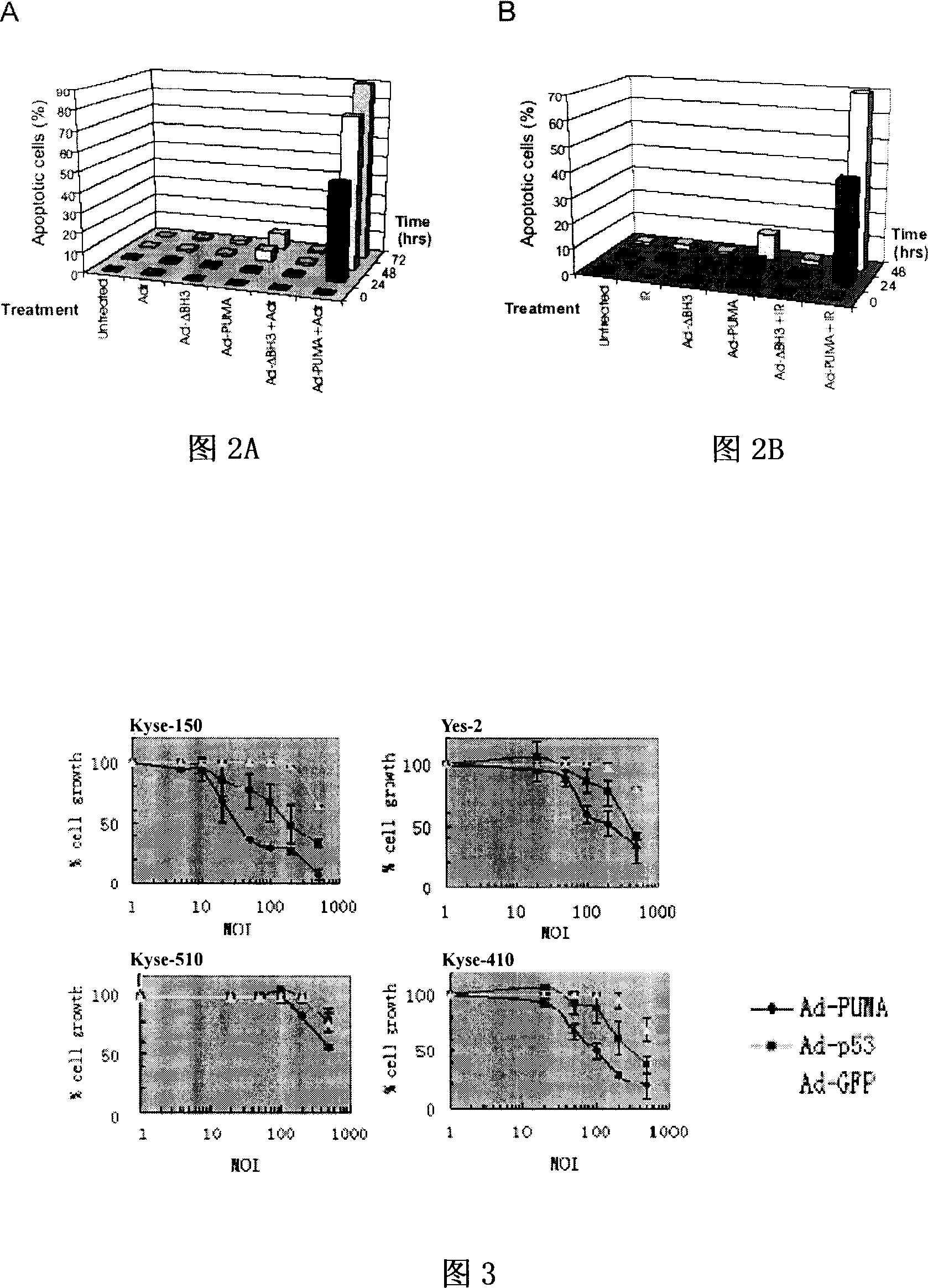 Use of PUMA in tumor chemoradiotherapy sensibilization