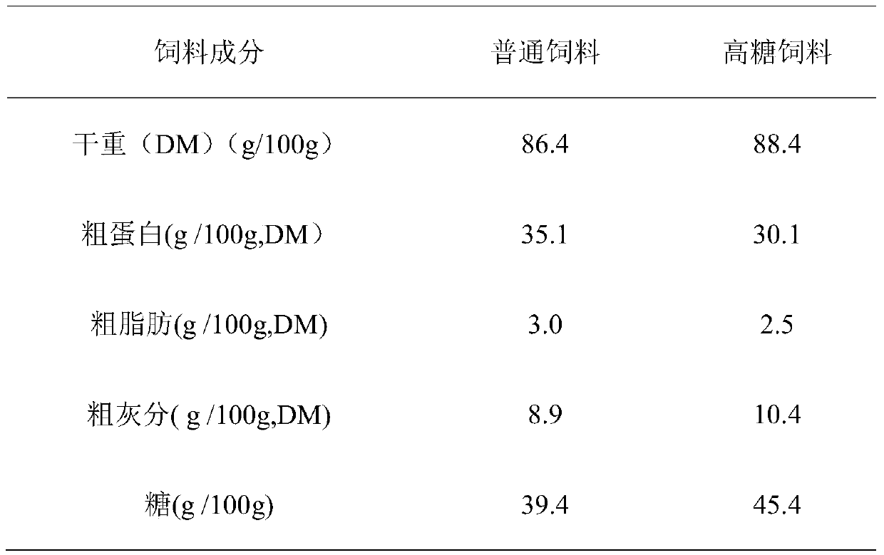 SNP marker related to sugar tolerance of grass carps and application of SNP marker