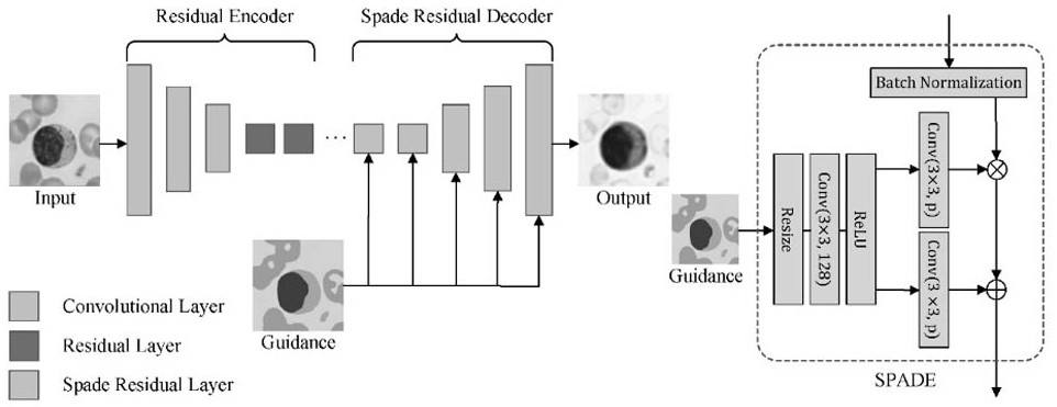 Blood leukocyte staining style conversion method based on cyclic generative adversarial network