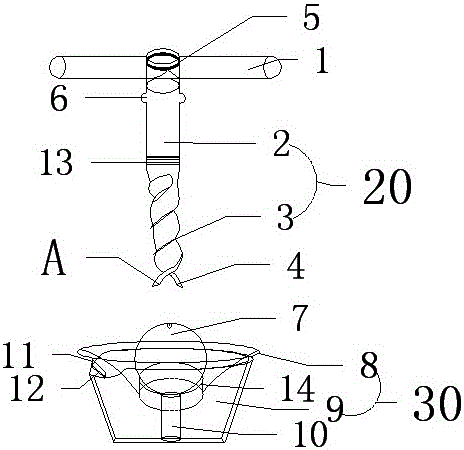 A tool for taking bayberry cores