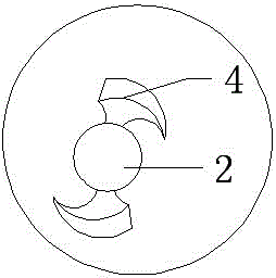 A tool for taking bayberry cores