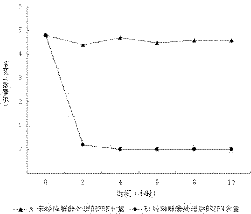 Zearalenone toxin degradation enzyme and coding gene and application thereof