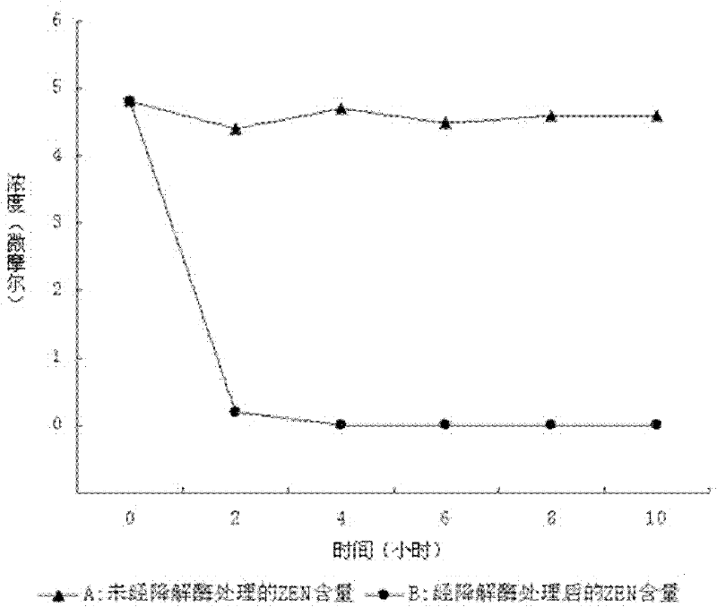 Zearalenone toxin degradation enzyme and coding gene and application thereof
