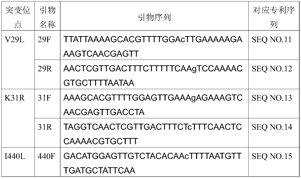 Mutants of bifunctional glutathione synthase and their application in glutathione synthesis