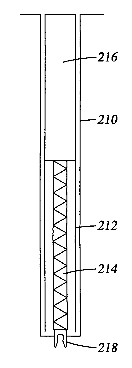 Systems and methods for placing a braided, tubular sleeve in a well bore