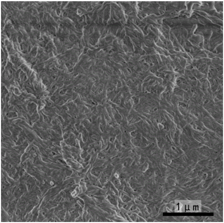 Nanoparticle-embedded amyloid protein fiber filter membrane and method used for pollutant degradation