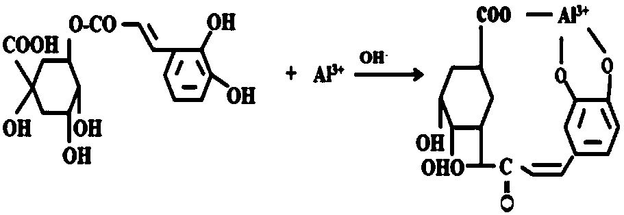 Method capable of simply and efficiently screening chlorogenic acid producing strains on culture medium