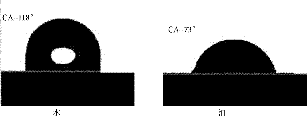 Hydrophobic olephobic epoxy paint and its preparation and application method