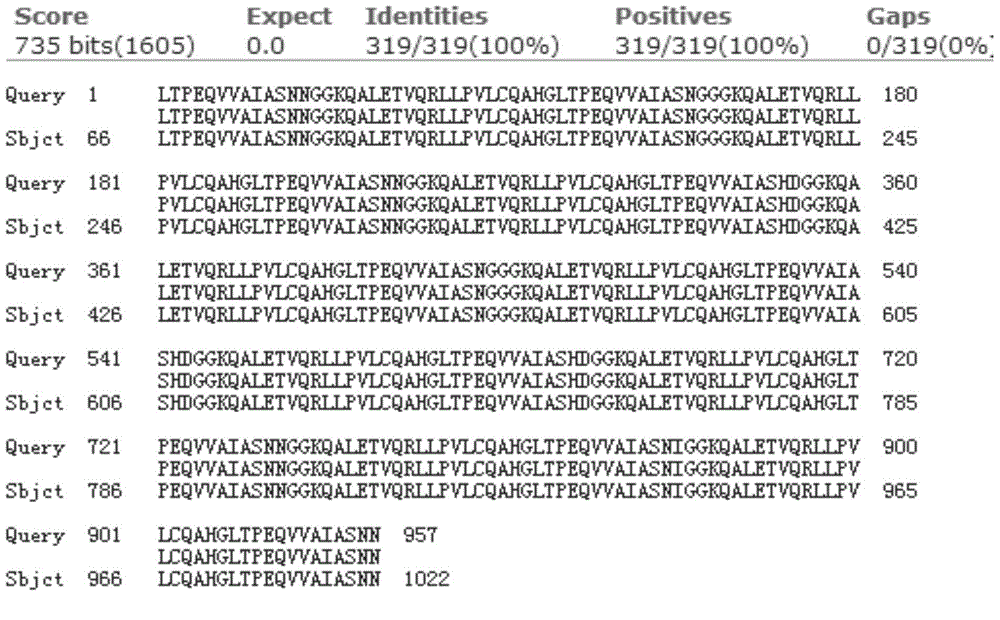 Method for establishing plasmid capable of knocking out mouse CRAMP gene by use of TALEN technique