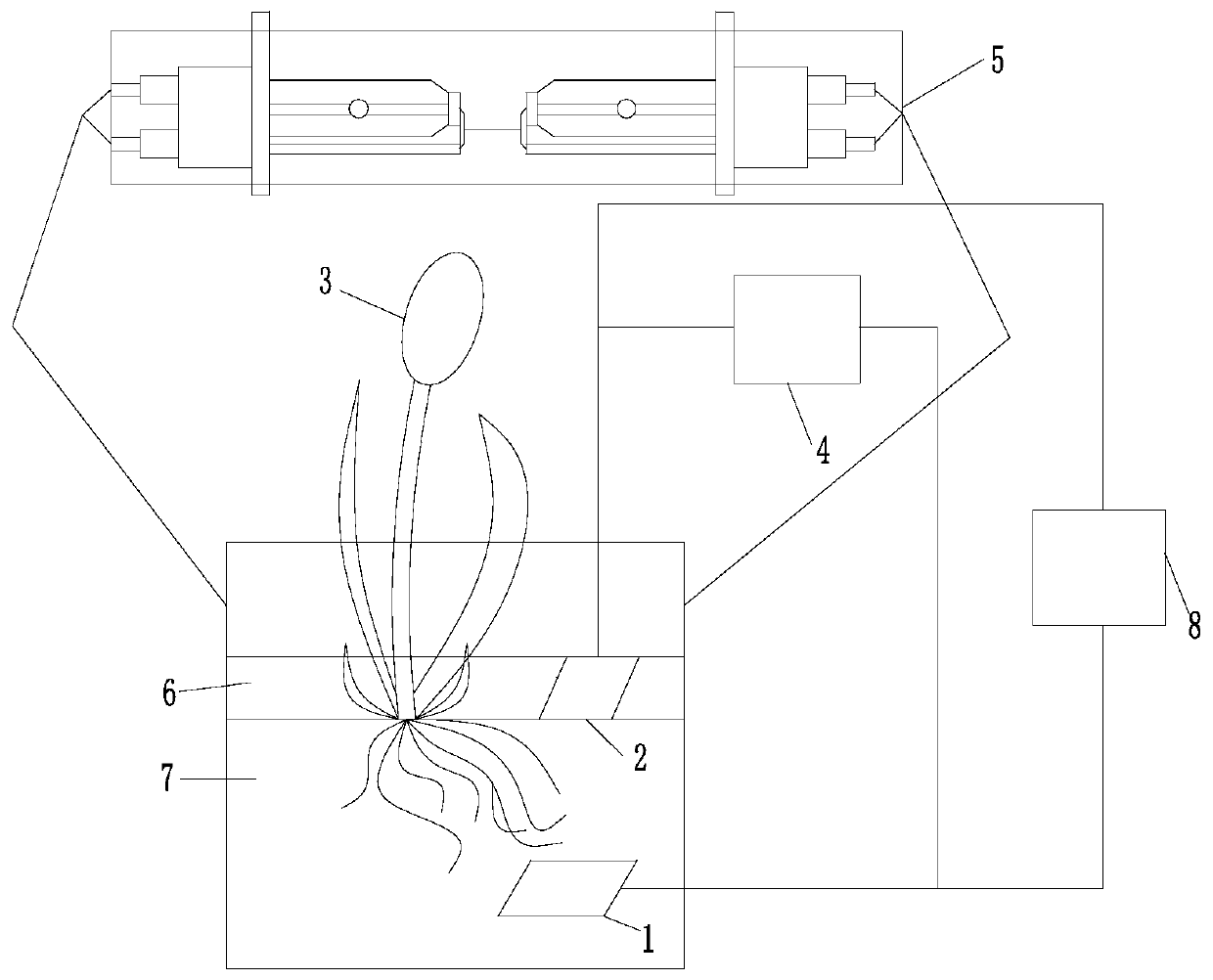 Anode photosynthetic solar fuel cell system