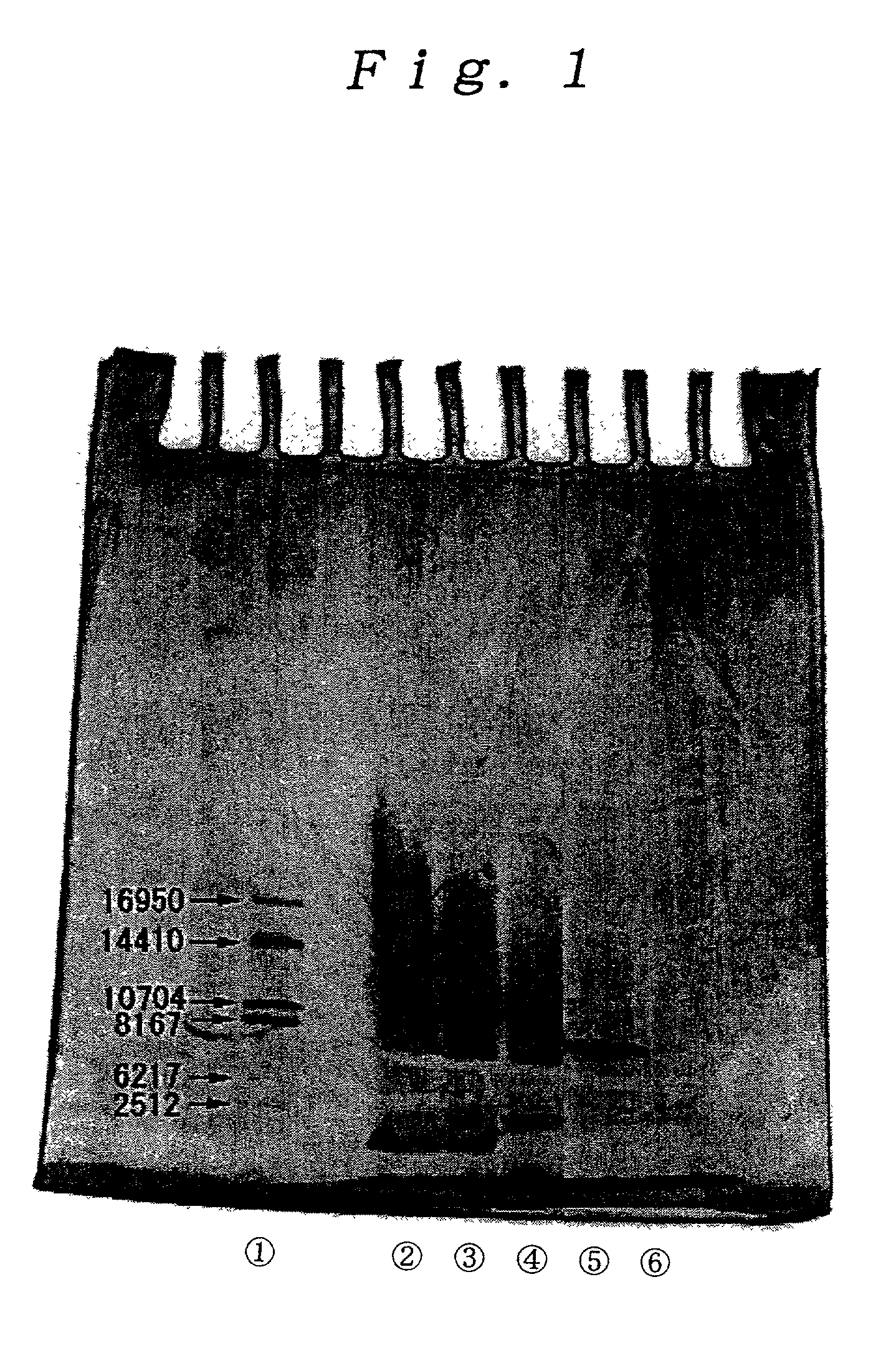 Purified cochineal and method for its production