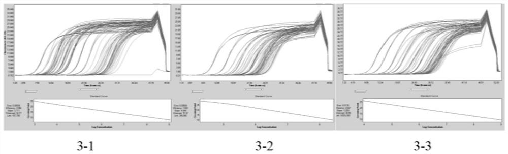 Egg yolk antibody composition for cat infectious peritonitis as well as preparation method and application of egg yolk antibody composition