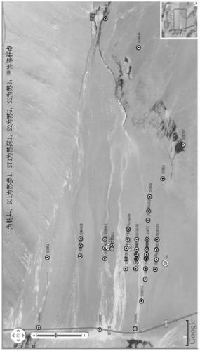 Gene Quantitative Microbial Oil and Gas Exploration Method Based on Mathematical Statistics