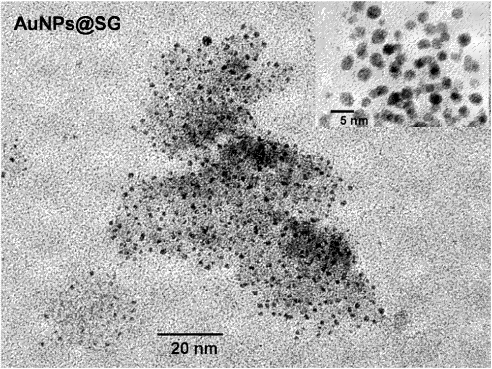 Preparation method of nanocluster composite substrate AuNPs (SG) X used for detecting Pb&lt;2+&gt; by aggregation-induced emission