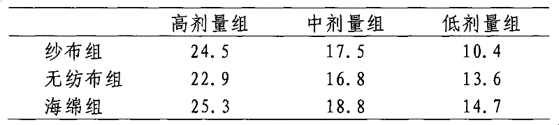 Decontamination bag for skin radioactive contamination