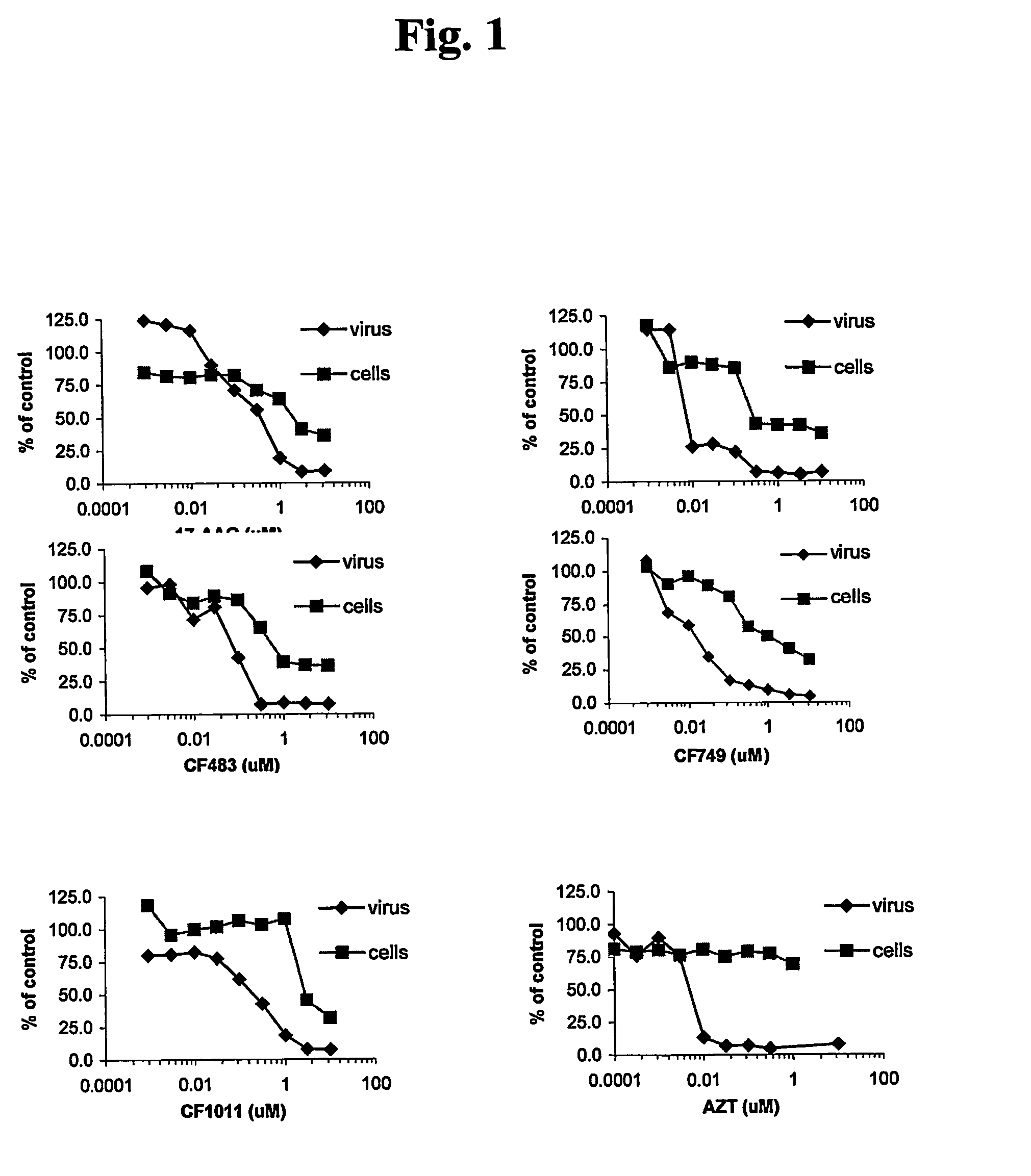 Ansamycins having improved pharmacological and biological properties