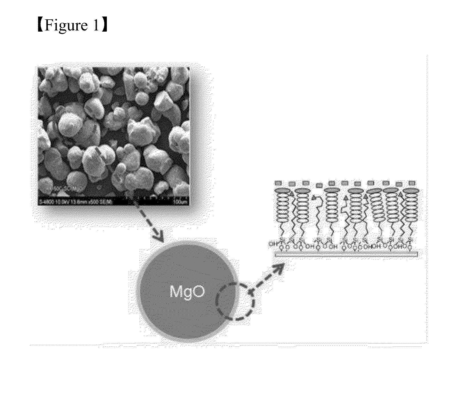 Thermoplastic Resin Composition Having Improved Thermal Conductivity and Articles Thereof