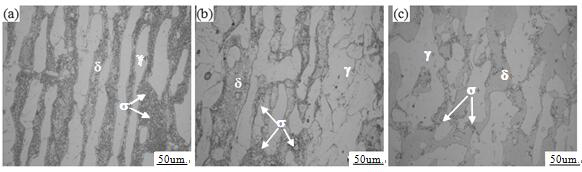 Thermal processing method to control the precipitation of σ phase in nodular ni-type duplex stainless steel at lower processing temperature