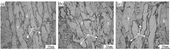 Thermal processing method to control the precipitation of σ phase in nodular ni-type duplex stainless steel at lower processing temperature