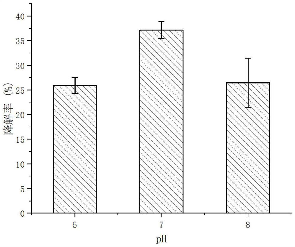 Erythrocin degrading bacterium W7 and application thereof