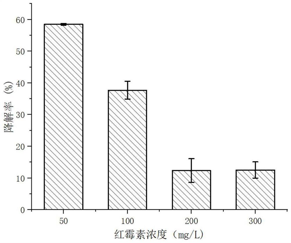 Erythrocin degrading bacterium W7 and application thereof