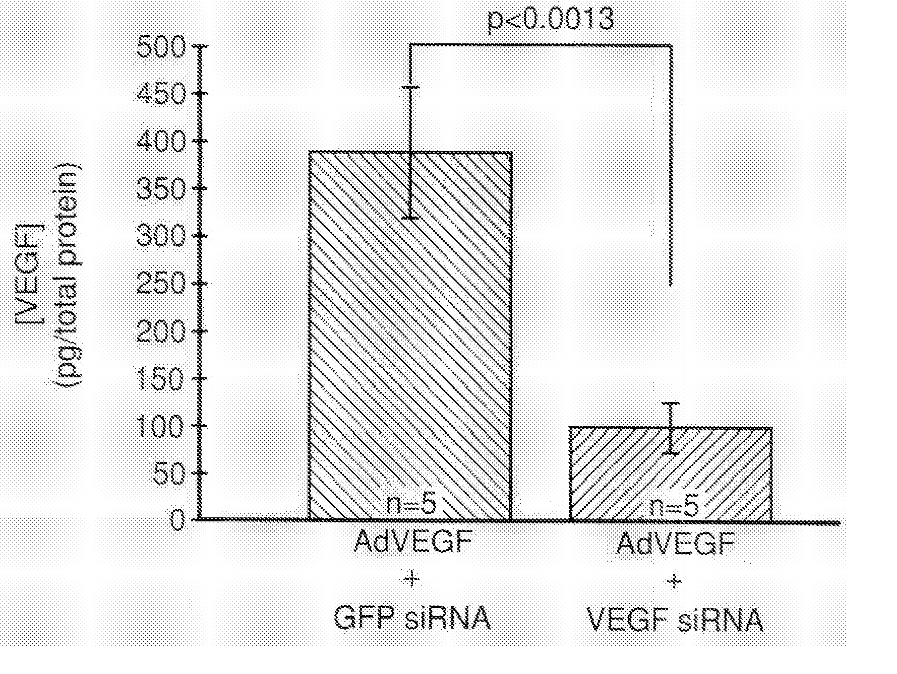 COMPOSITIONS AND METHODS FOR siRNA INHIBITION OF ANGIOGENESIS