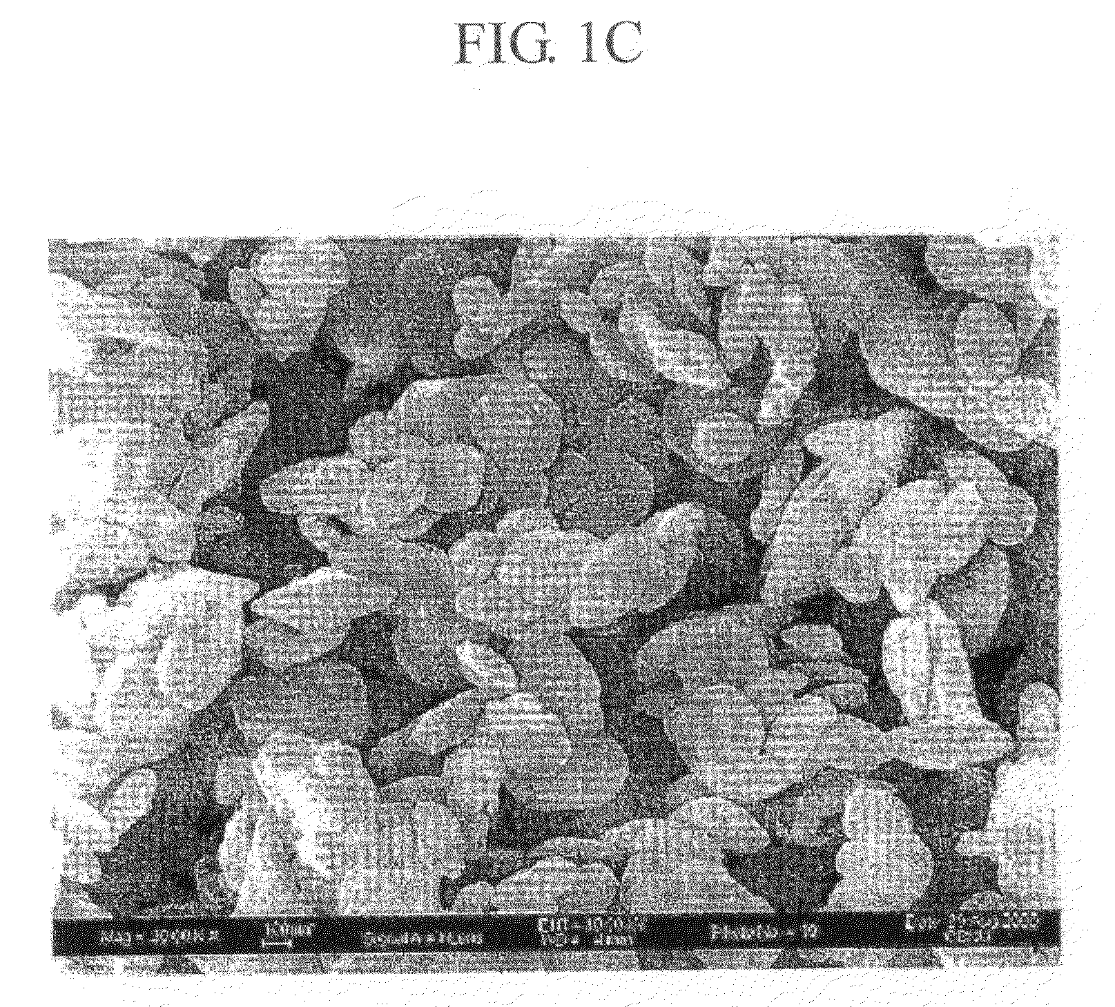 Oxide-Like Hydrotalcite and Manufacturing Process Thereof