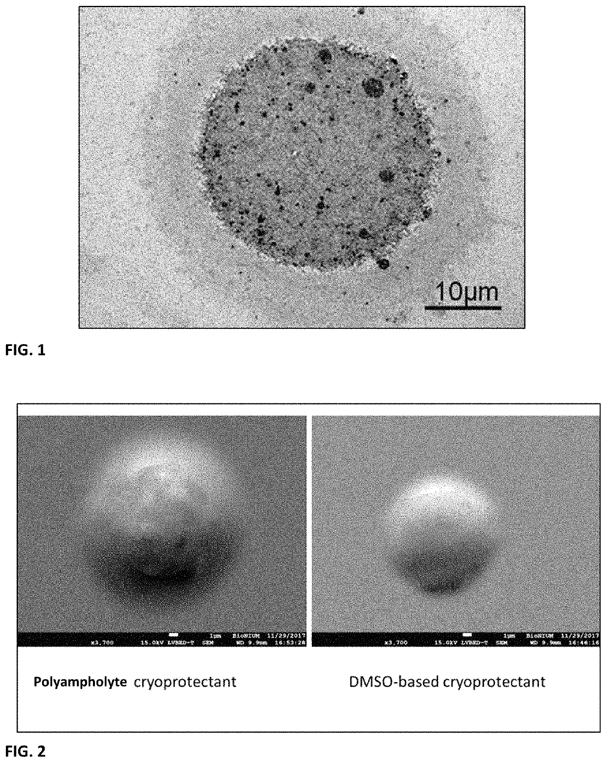 Biological composition in a protectant shroud and methods