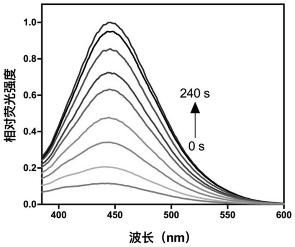 Visible light biocompatible reactive composition and application thereof