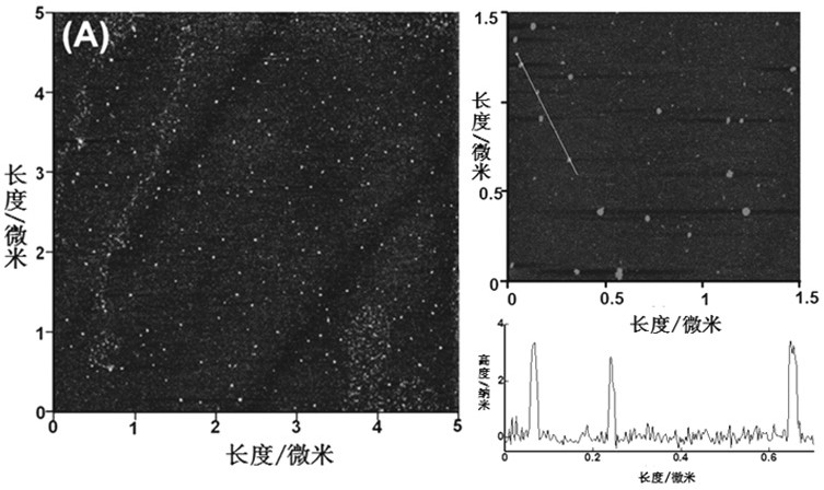 Preparation of a carbon-based point-wrapped tin dioxide nanosheet composite and its application in surface-enhanced Raman substrates