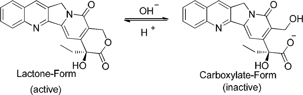 Fluorine-substituted e-ring camptothecin analogs and their use as medicines