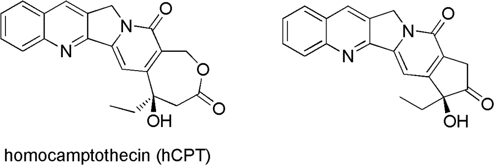 Fluorine-substituted e-ring camptothecin analogs and their use as medicines