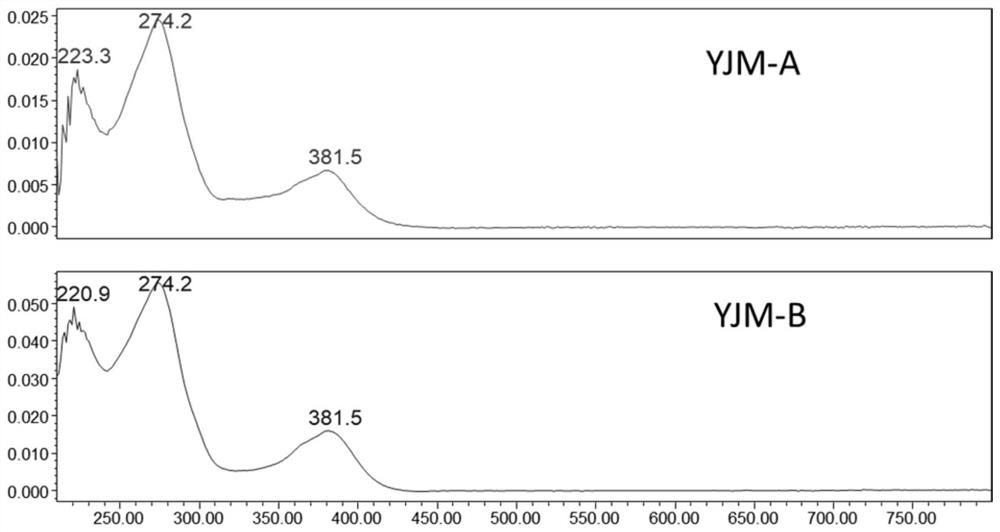 Yuanjiang mycin analogue as well as preparation method and application thereof