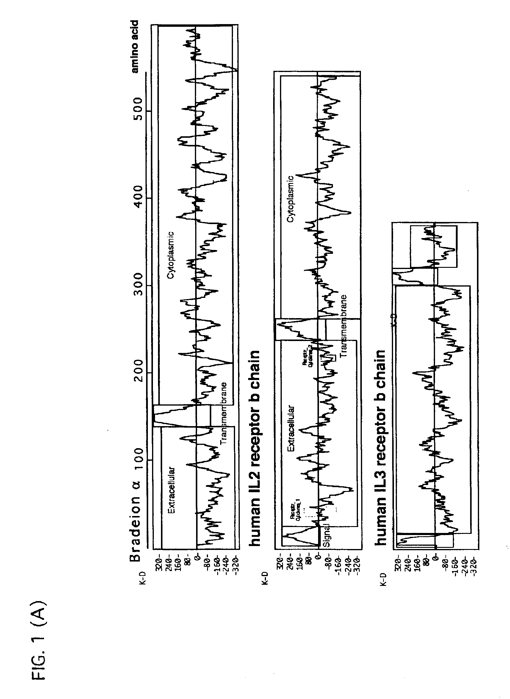 Human-derived bradeion proteins, DNA coding for the proteins, and uses thereof