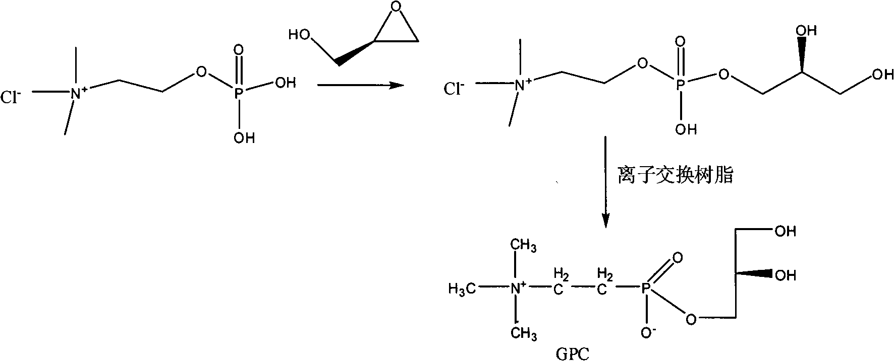 One-step method for preparing raceme DL, D or L-a-glycerin phosphorus acyl choline