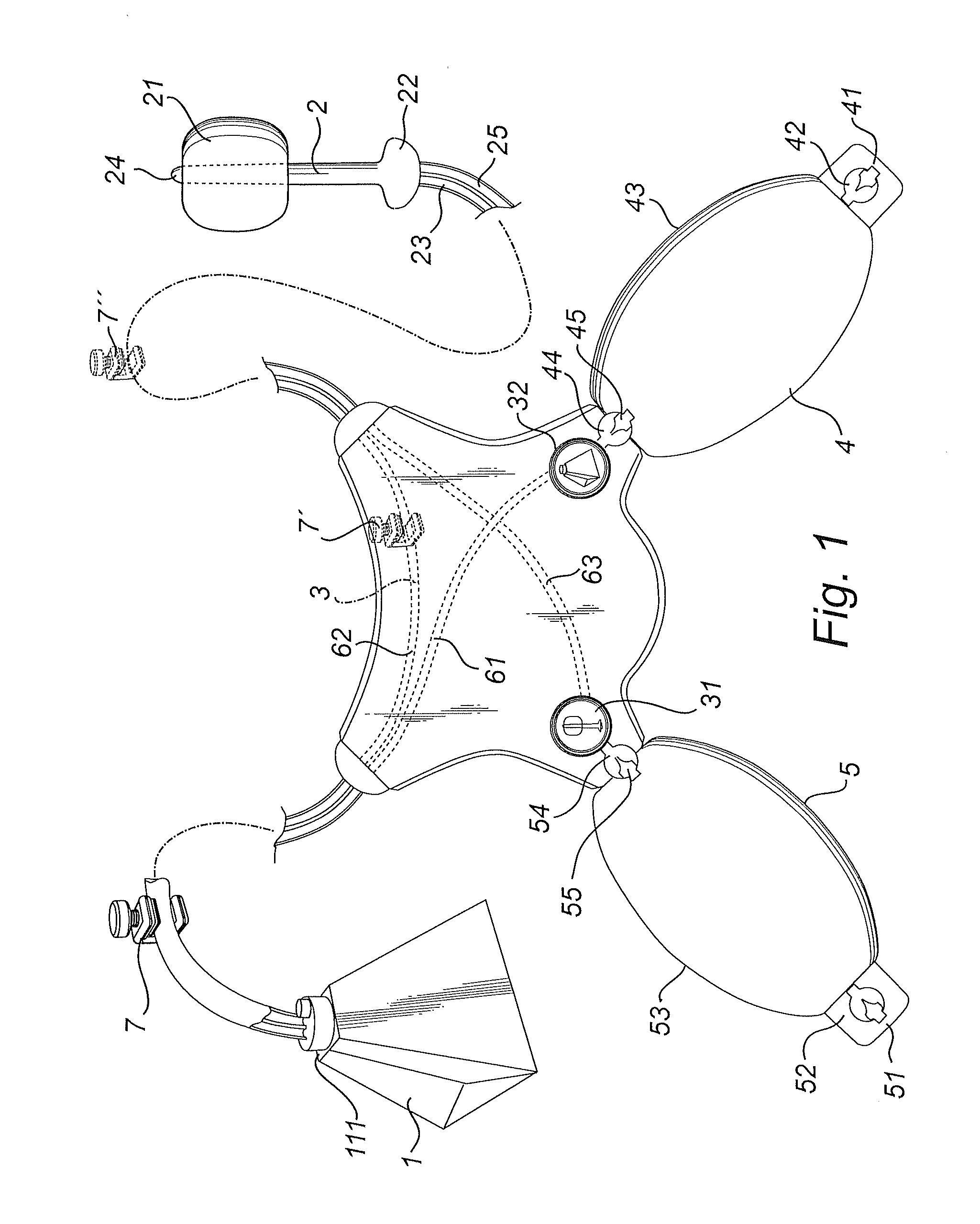 Irrigation system comprising dual pumps