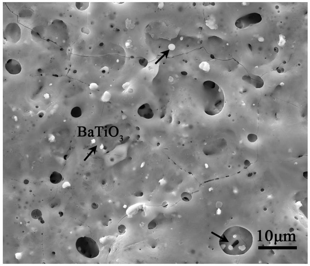 Method for preparing BaTiO3/TiO2 piezoelectric antibacterial coating on titanium surface