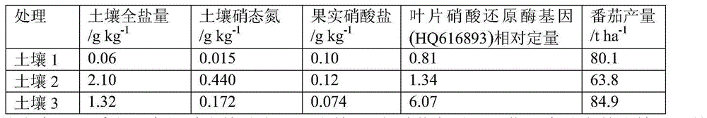 Facility secondary NO3&lt;-&gt; salinized soil improver, preparation method thereof and improving method