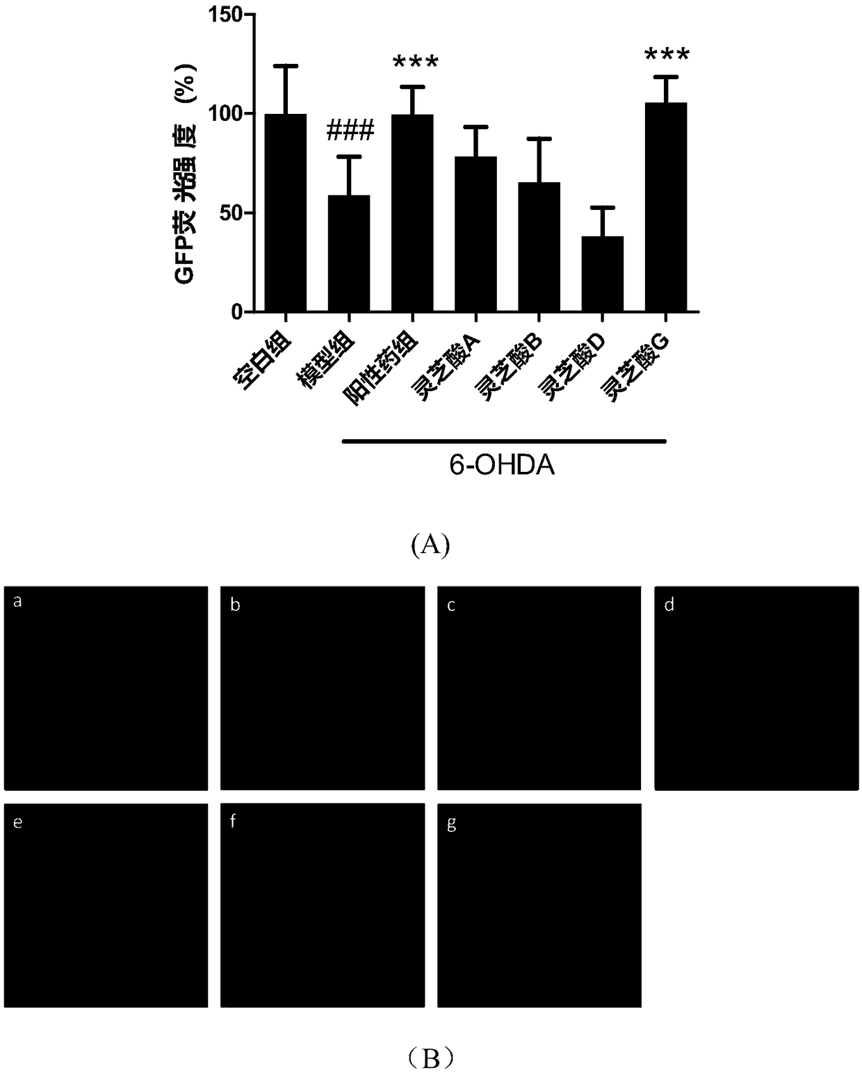 Application of ganoderic acid G to neurodegenerative diseases