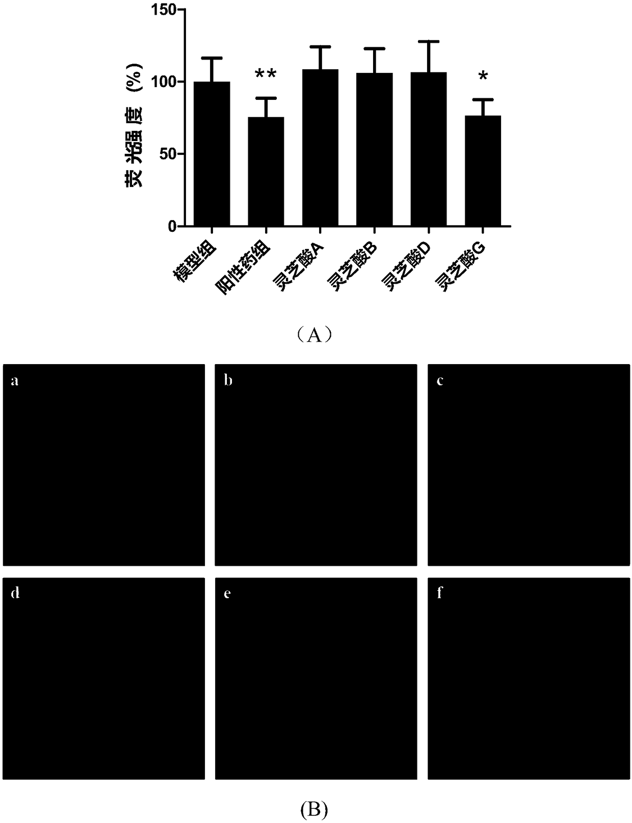 Application of ganoderic acid G to neurodegenerative diseases