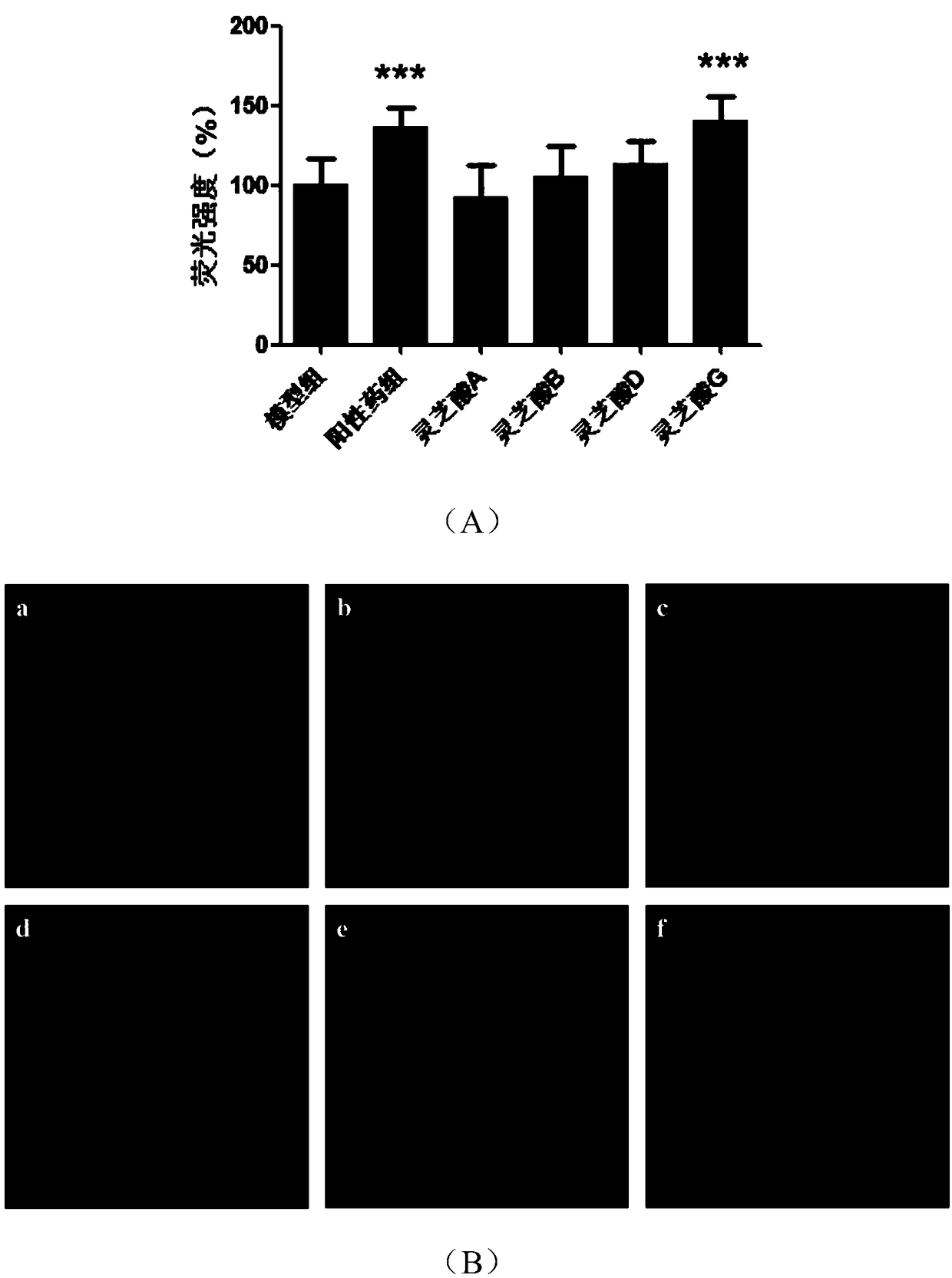 Application of ganoderic acid G to neurodegenerative diseases